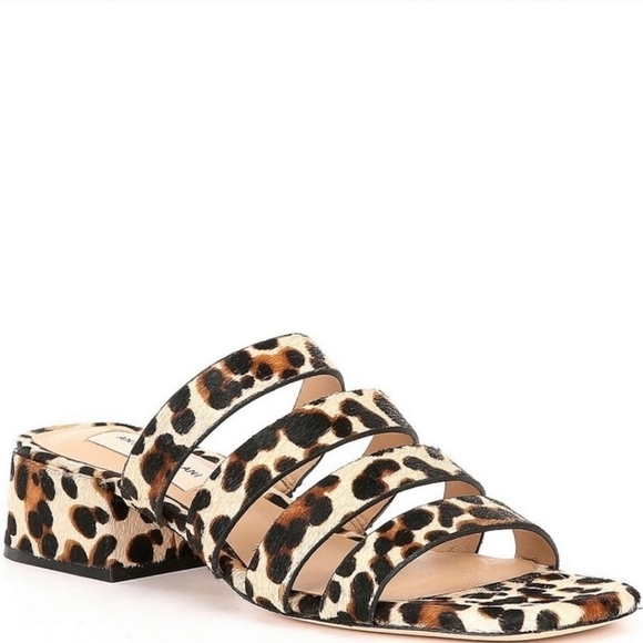 ANTONIO MELANI Cosgrove Leopard Banded Sandal - Picture 3 of 14